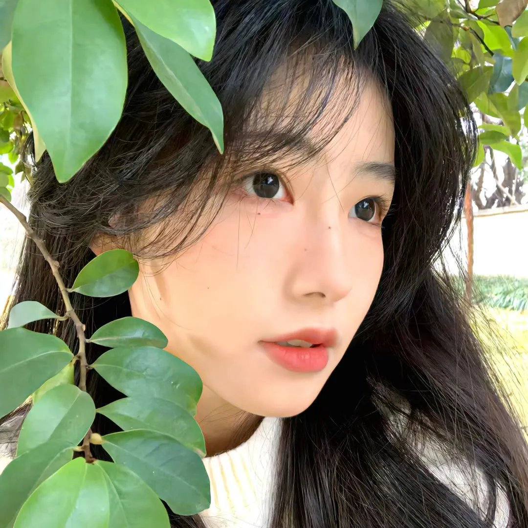 龙之舞